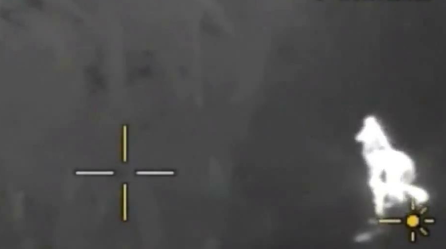 5afe5076ac87f.jpg 2.jpg