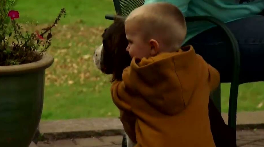 5afe50963e409.jpg 4.jpg