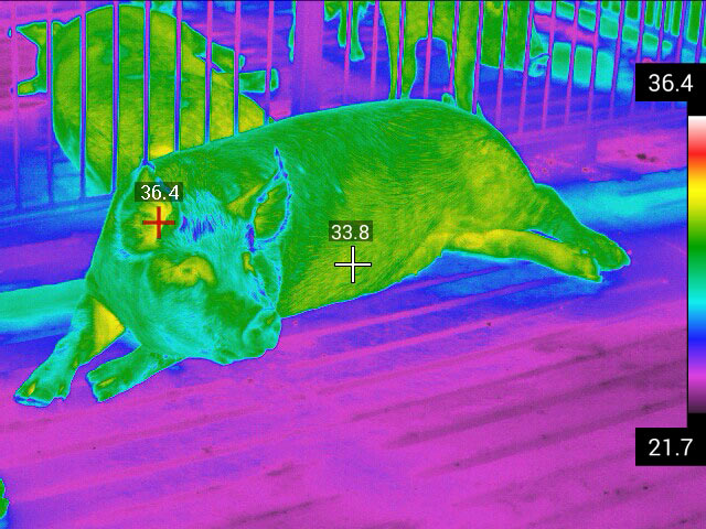 5afe6f0a1efca.jpg 21.jpg